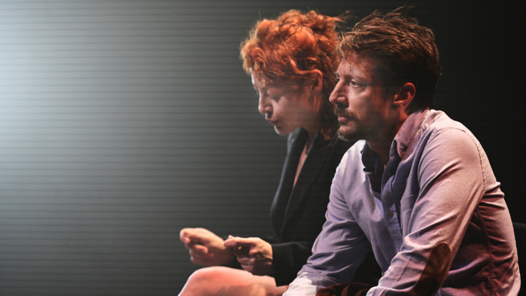 ELMA, LABRADOR, ÇİMEN